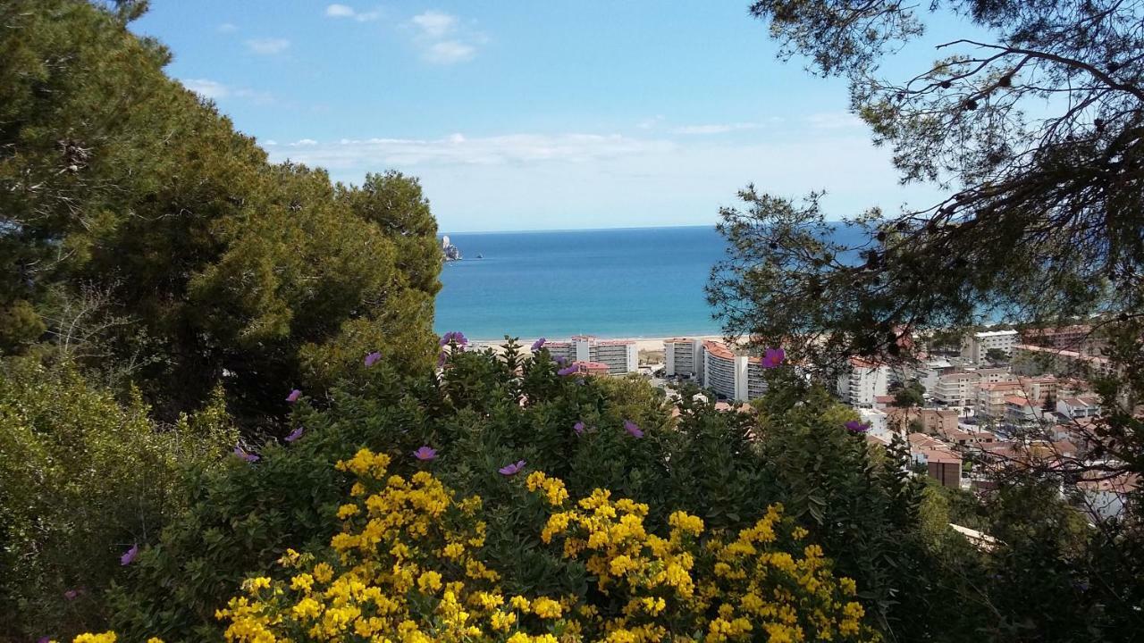 Mediterrania 98 Torroella de Montgrí Esterno foto